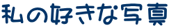 私の好きな写真 